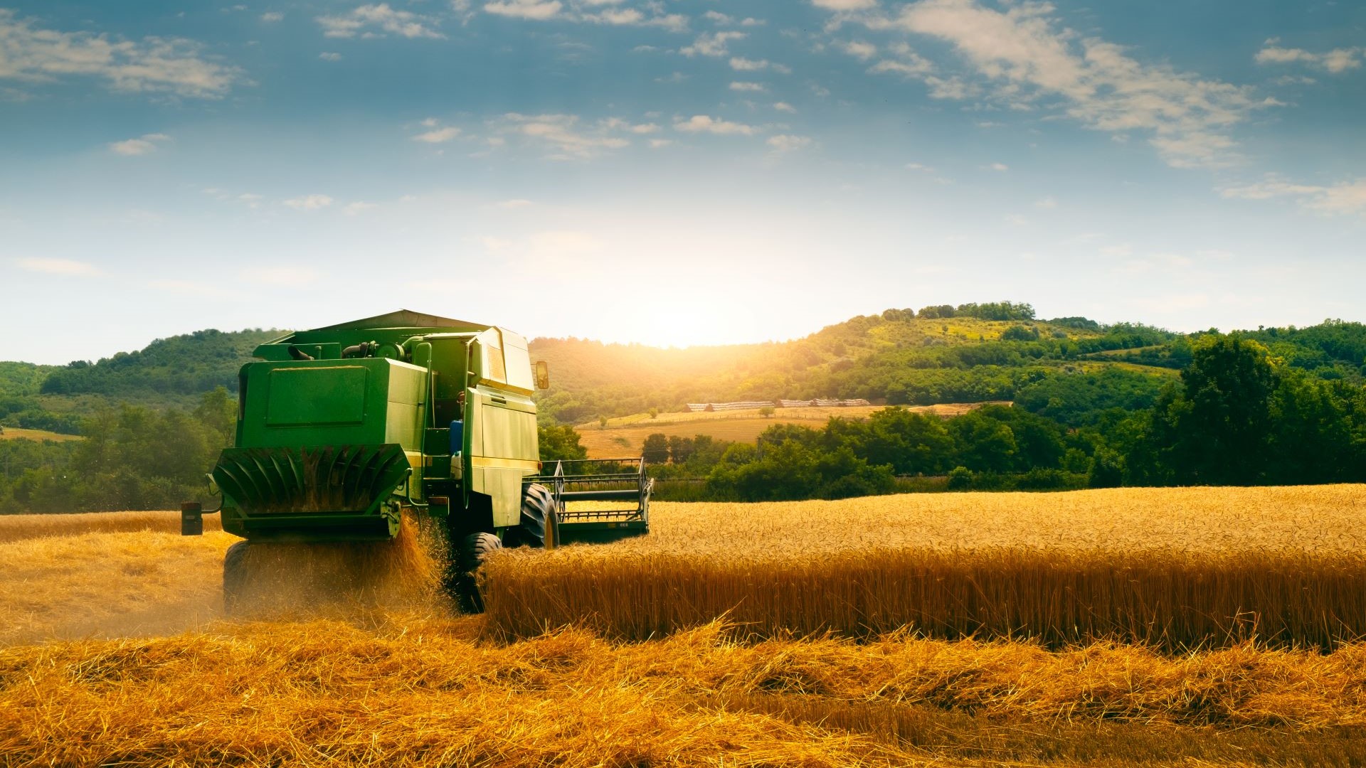 صناعة الأعلاف